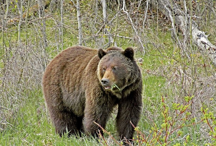 Höhepunkte Westkanadas