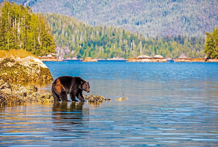Wandern auf Vancouver Island