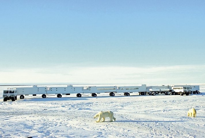 Erlebnis Eisbären mit Tundra Buggy Lodge (6 Nächte)
