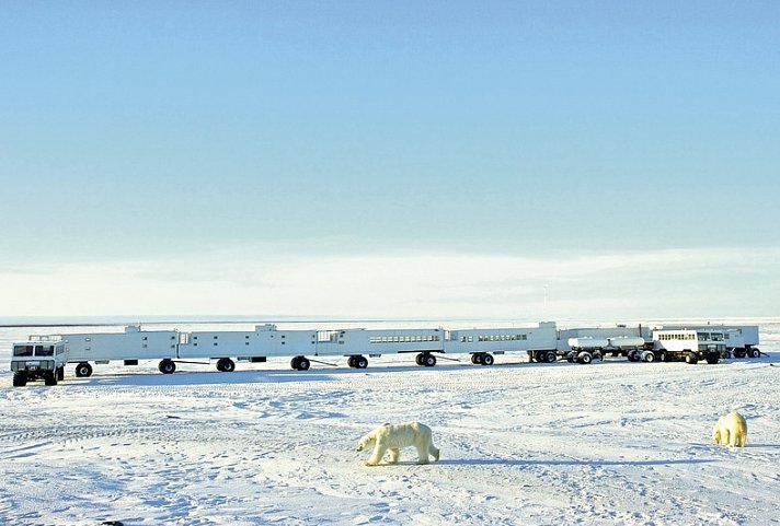 Erlebnis Eisbären mit Tundra Buggy Lodge (4 Nächte)