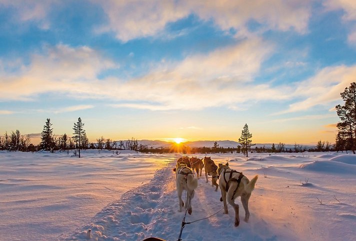 Die Nordlichter des Yukon