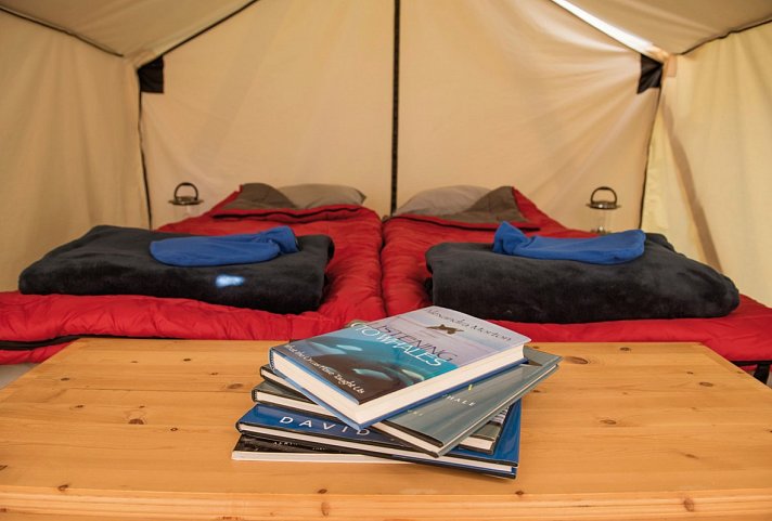 Glamping mit Walen & Bären