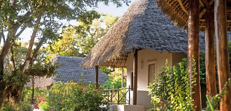 ananea Diamonds Mapenzi