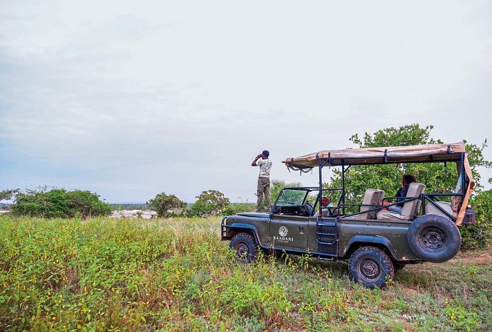 Saadani Safari