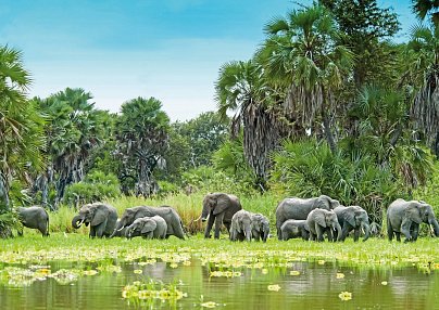 Tansanias Zauber Nyerere-Nationalpark