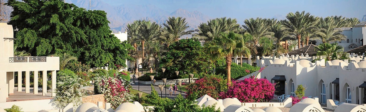 Sentido Reef Oasis Senses Resort