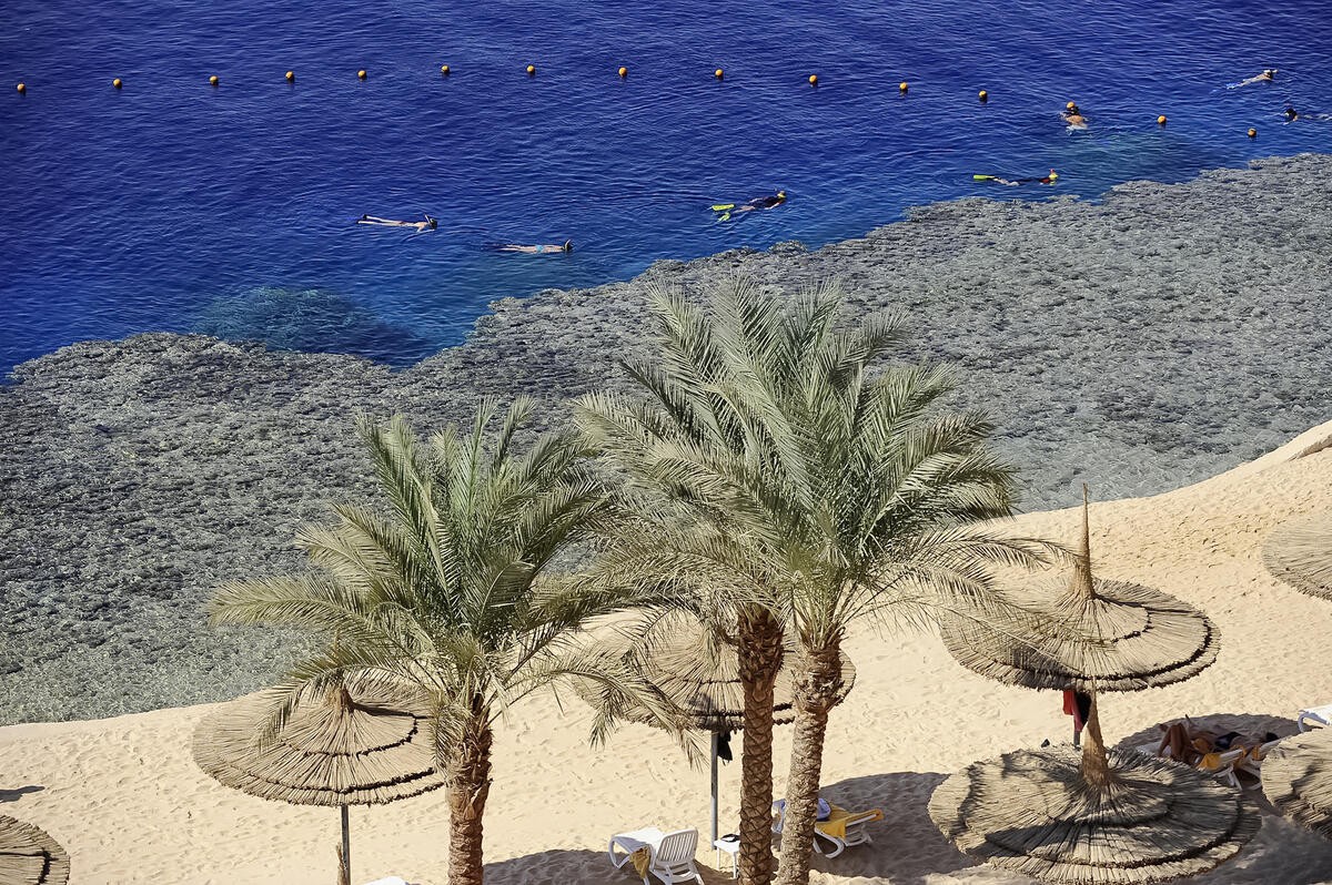 Sentido Reef Oasis Senses Resort