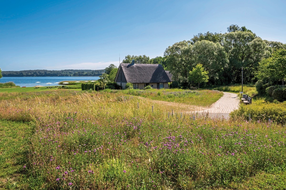 BEECH Resort Plauer See