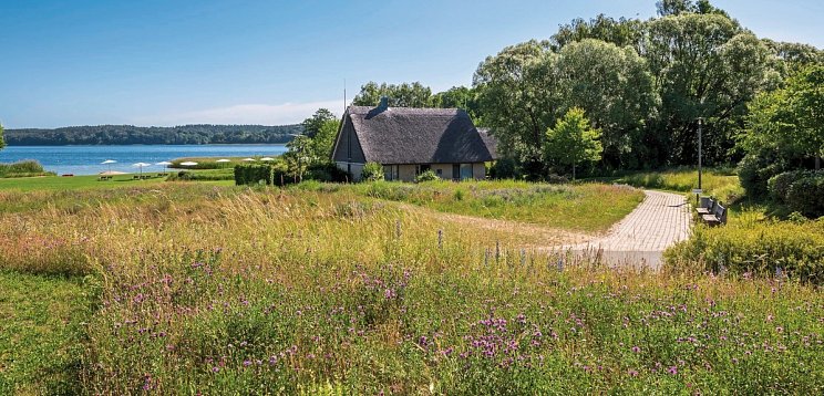 BEECH Resort Plauer See