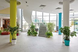 Ivana Palace