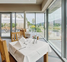 Hotel Elbresidenz an der Therme Bad Schandau