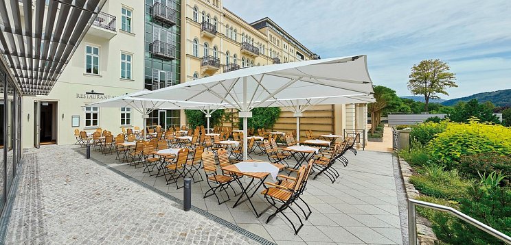 Hotel Elbresidenz an der Therme Bad Schandau