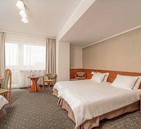 Vestina Wellness & SPA Hotel