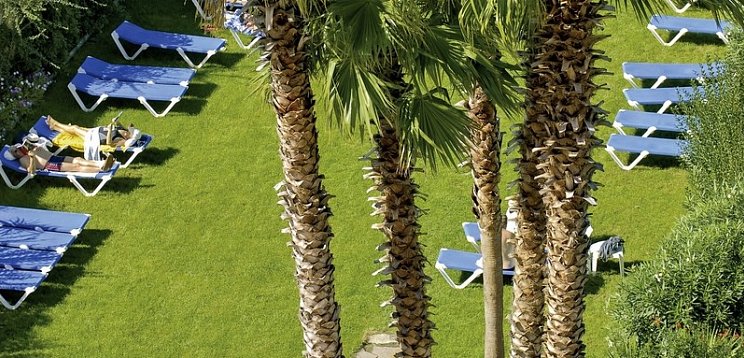 Tropic Park