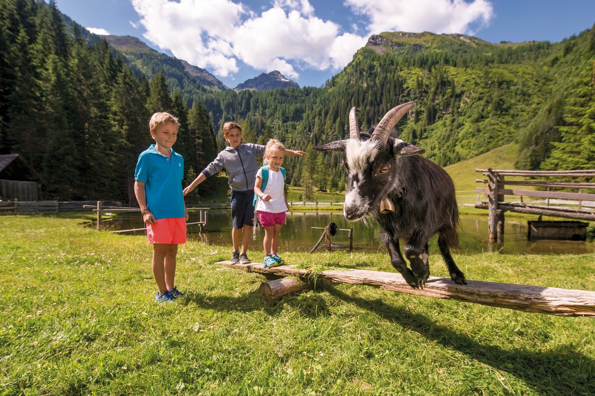 Natur & Wellnesshotel Höflehner