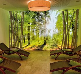 alpenhotel Kaiserfels