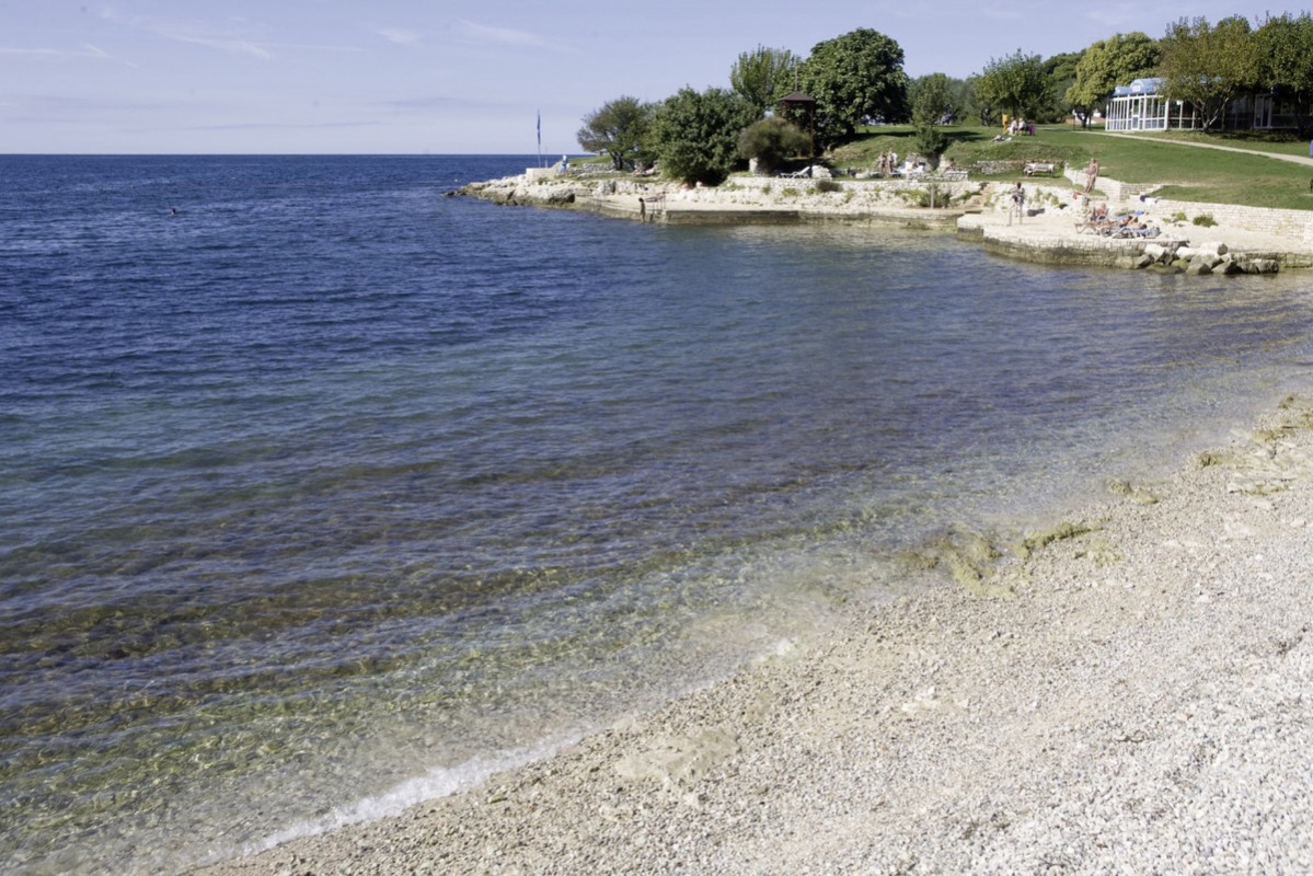 Albatros Plava Laguna