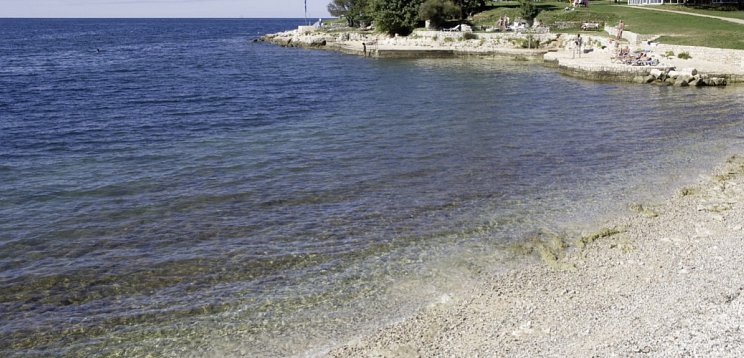 Albatros Plava Laguna