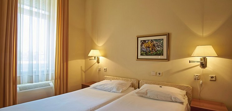 Vila Ruzica