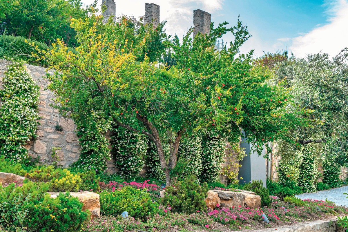 Ammon Zeus Luxury Beach Hotel