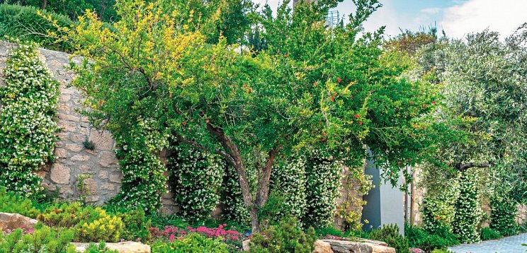 Ammon Zeus Luxury Beach Hotel