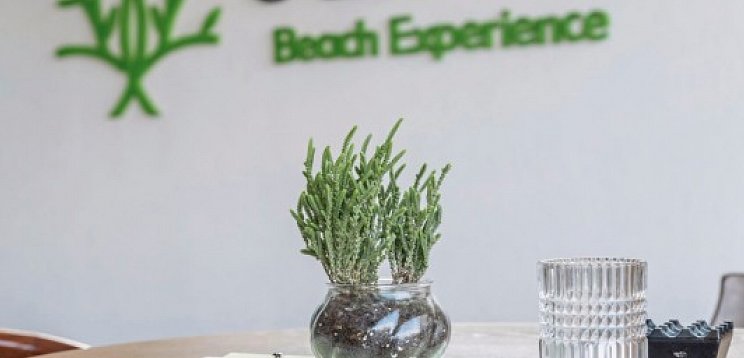 Royal Hotel and Suites