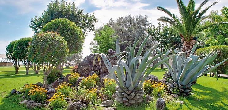 Olympian Bay Grand Resort