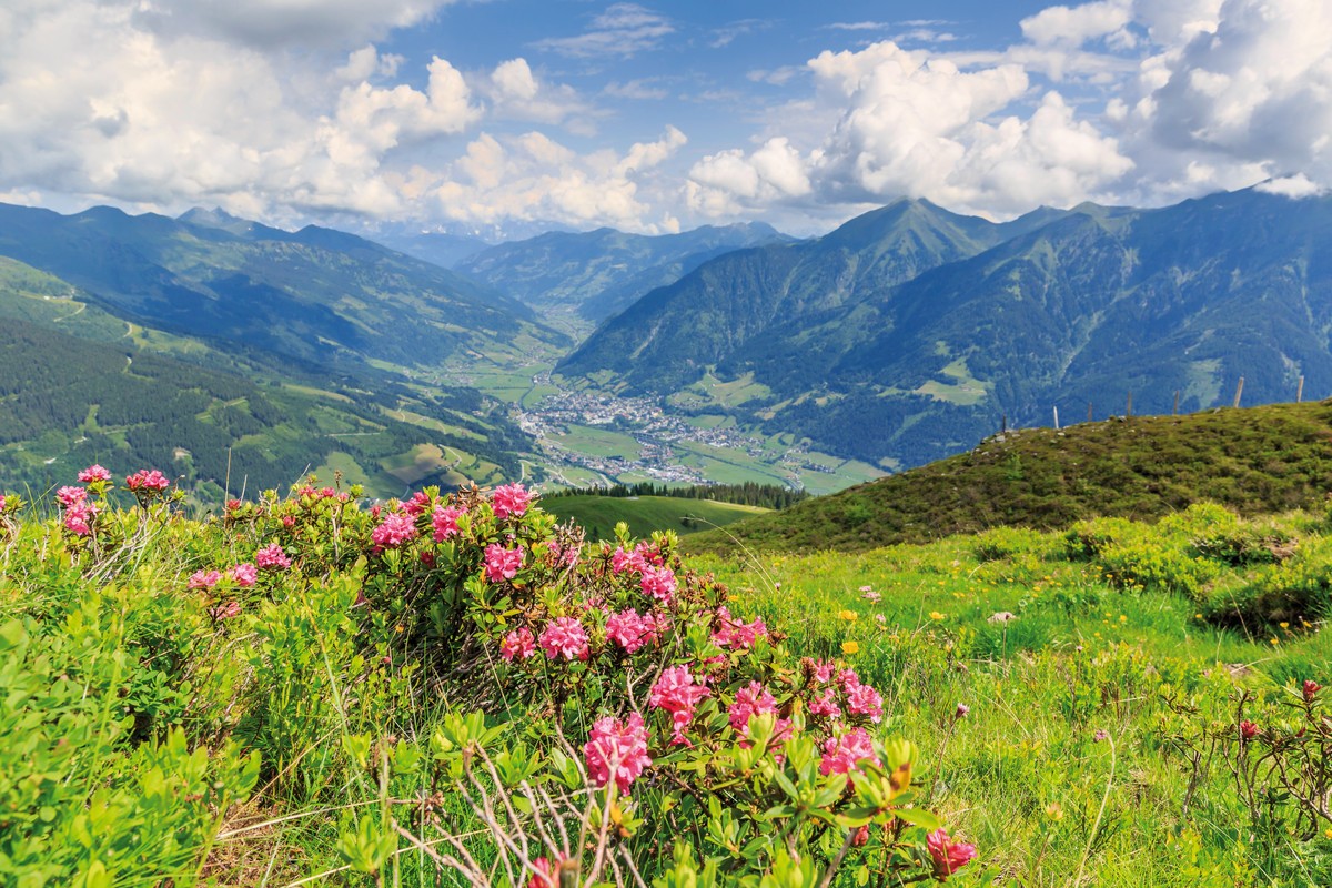 Das Alpenhaus Gasteinertal