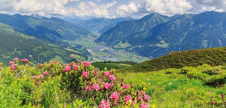 Das Alpenhaus Gasteinertal