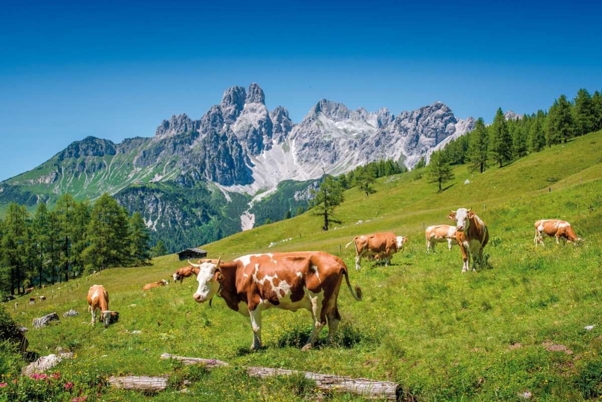 Das Alpenhaus Gasteinertal