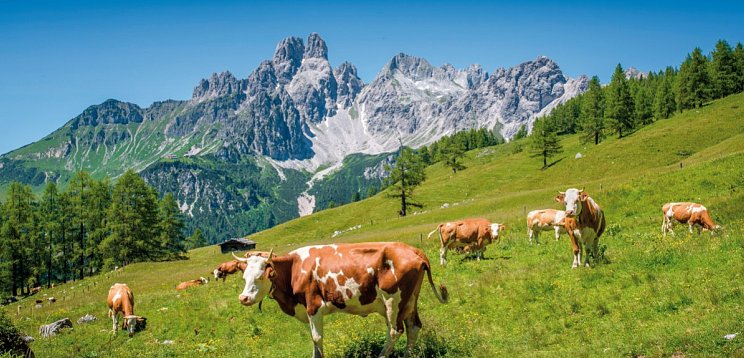 Das Alpenhaus Gasteinertal