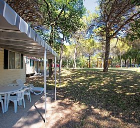 Belvedere Pineta Camping Village