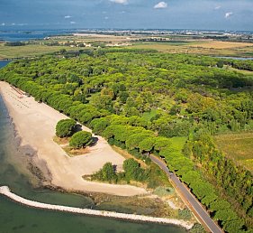 Belvedere Pineta Camping Village