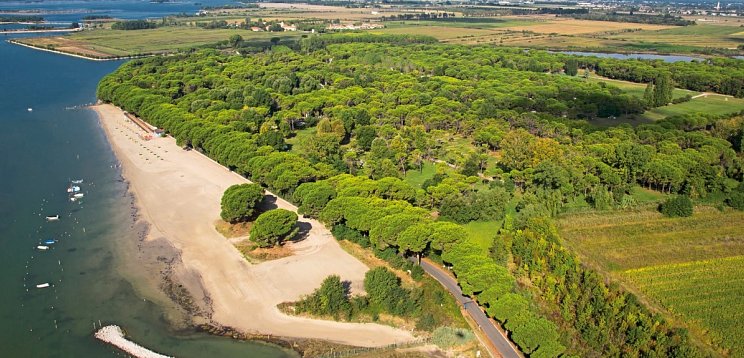 Belvedere Pineta Camping Village