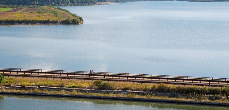 Belvedere Pineta Camping Village