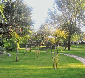 Camping Ca' Savio (by Happy Camp)