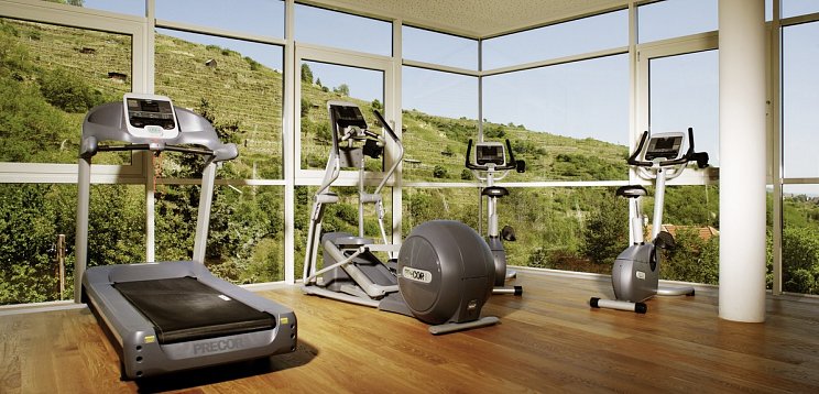 Steigenberger Hotel & Spa Krems