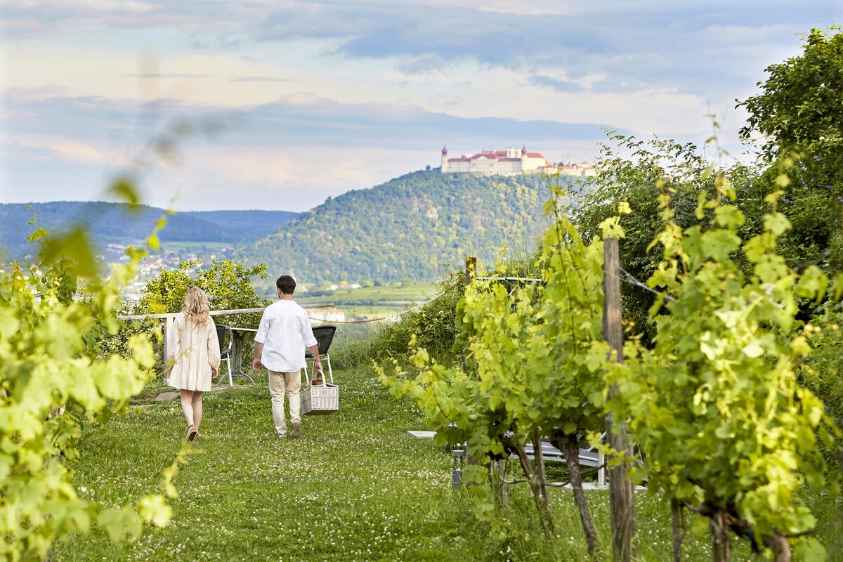 Steigenberger Hotel & Spa Krems
