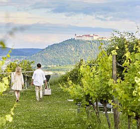 Steigenberger Hotel & Spa Krems 