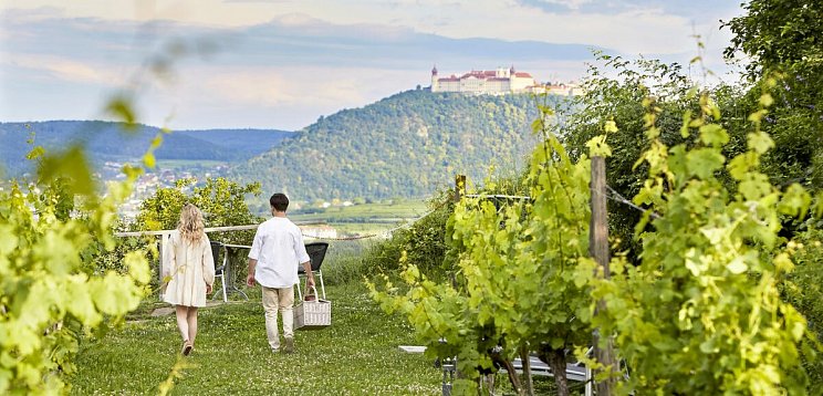 Steigenberger Hotel & Spa Krems