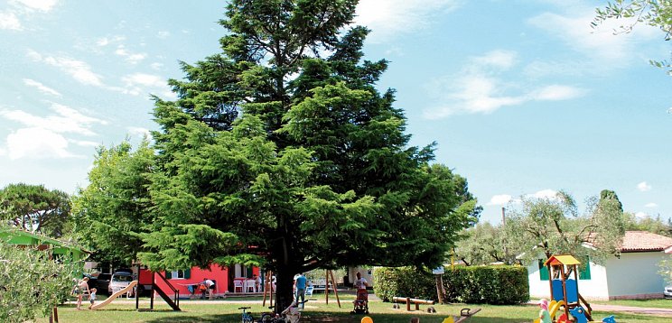 Camping Cisano & San Vito