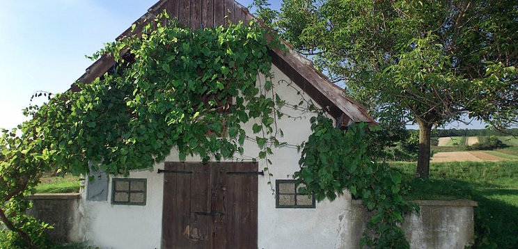 Hotel Altes Kloster