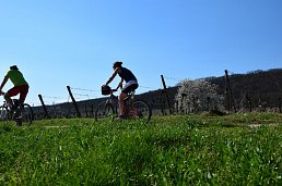 Pasler