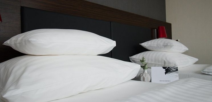 PLAZA INN Graz City