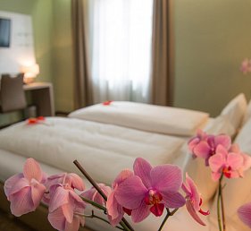 Hotel Raffel