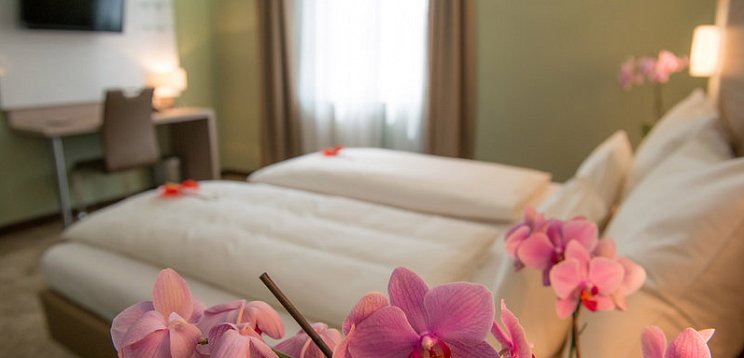 Hotel Raffel