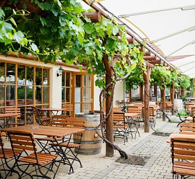 JUFA Hotel Tieschen
