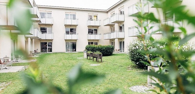 harry's home Linz Urfahr