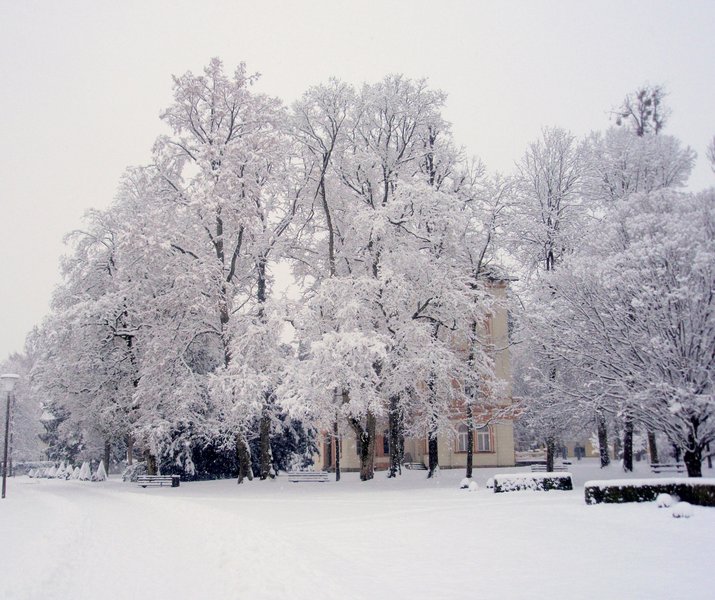 Parkhotel Zur Klause