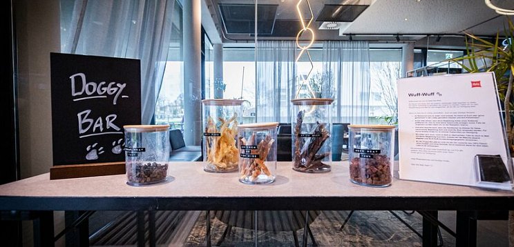 ibis Wels Hotel